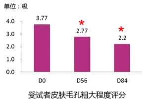 受试者皮肤毛孔粗大程度评分表