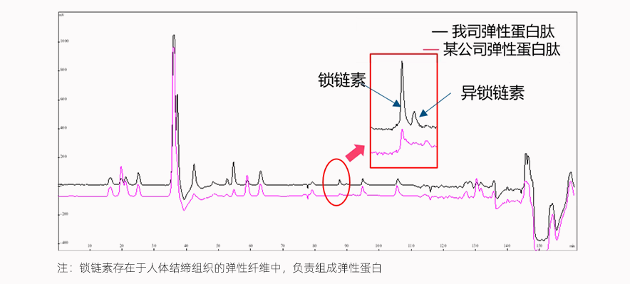 弹性纤维图 弹性纤维图