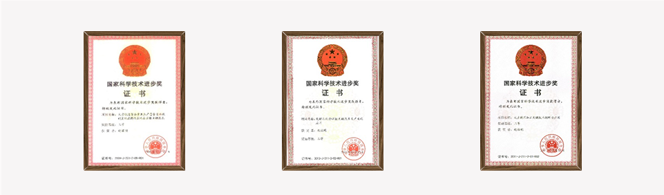 国家科技奖