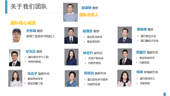 科研团队